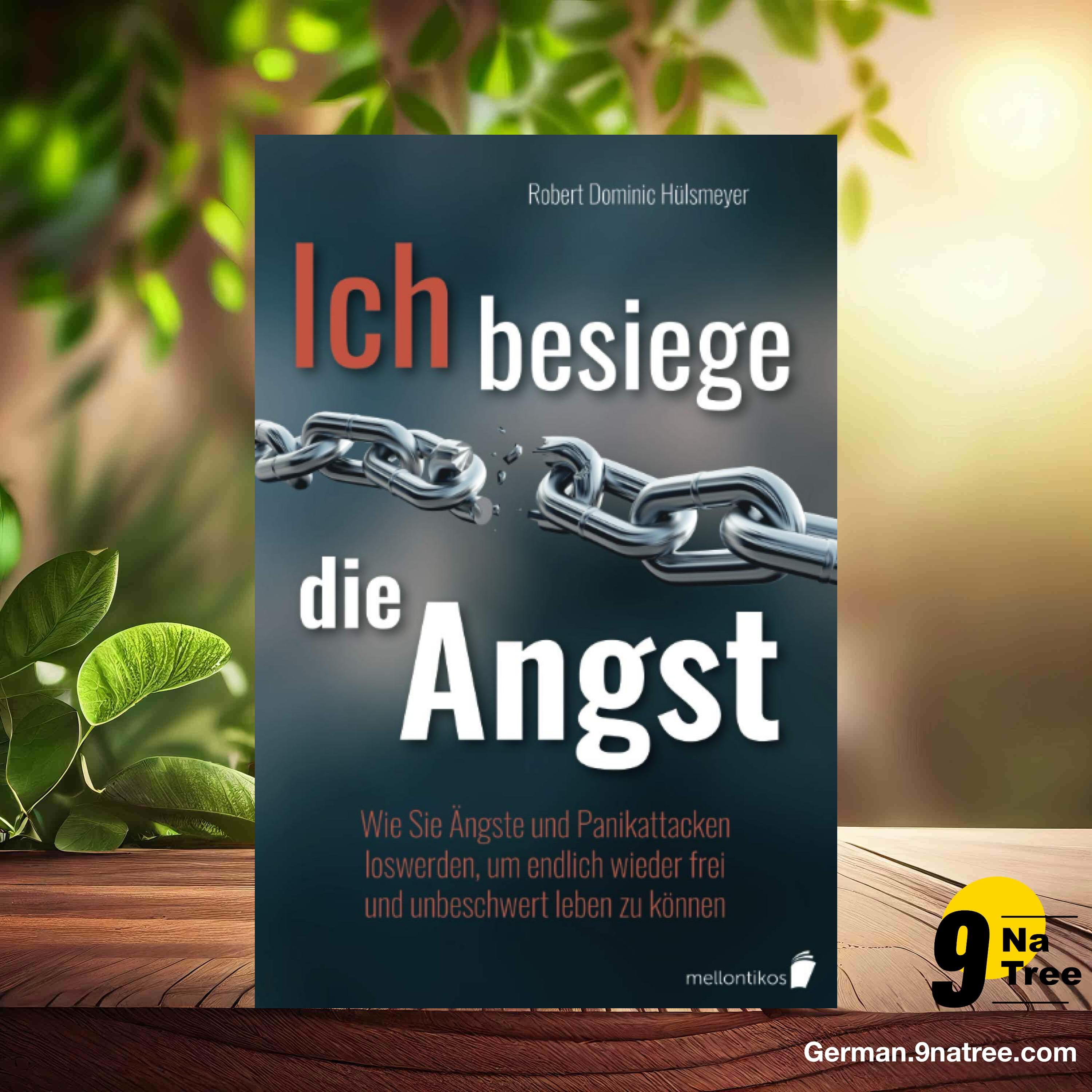 [Rezensiert] Ich besiege die Angst (Robert Dominic Hülsmeyer) Zusammengefasst.